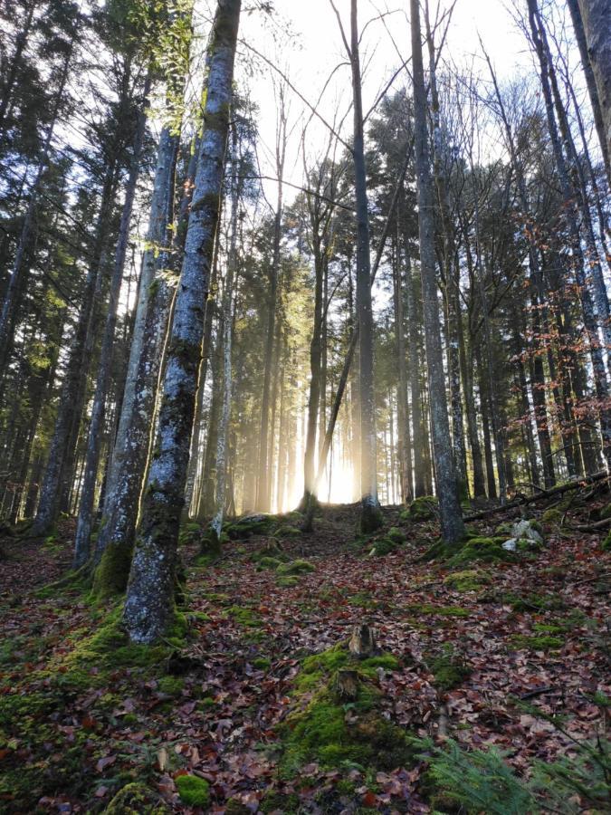 Naturresort Fischergut - Lodge Wolfgangthal Saint Wolfgang Zewnętrze zdjęcie